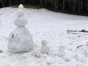 Line_456285319867865