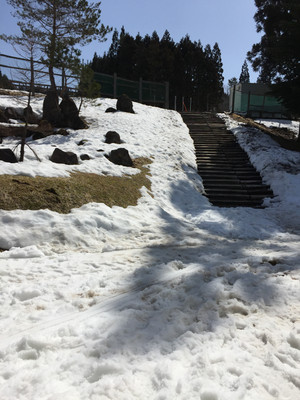 7f03a09eb9a240718649b4b838259c96