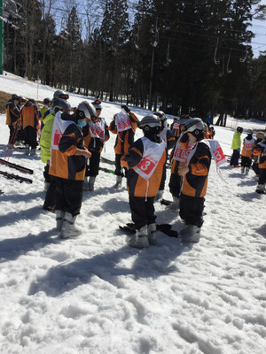 D8f9344181f04b06b759238bccc2a33d