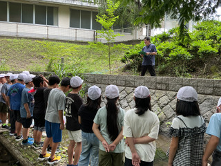 Img_0584 Img_0584
