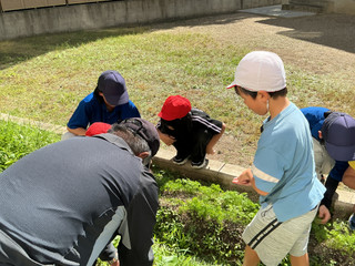 Img_1883 Img_1883