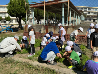 Img_2304 Img_2304
