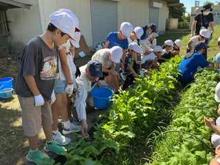 Img_2305 Img_2305