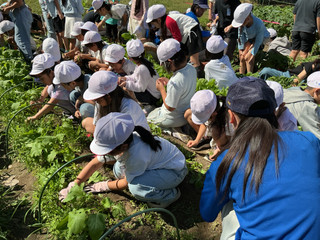 Img_2321 Img_2321