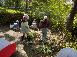 Img_0772 Img_0772