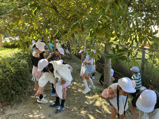 Img_2494 Img_2494