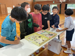 Img_2135 Img_2135