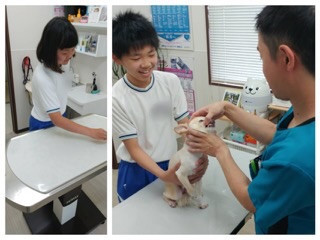 ２年職場体験学習