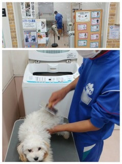 ２年職場体験学習