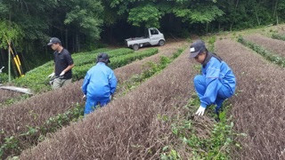 ２年職場体験学習