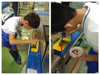 ２年職場体験学習