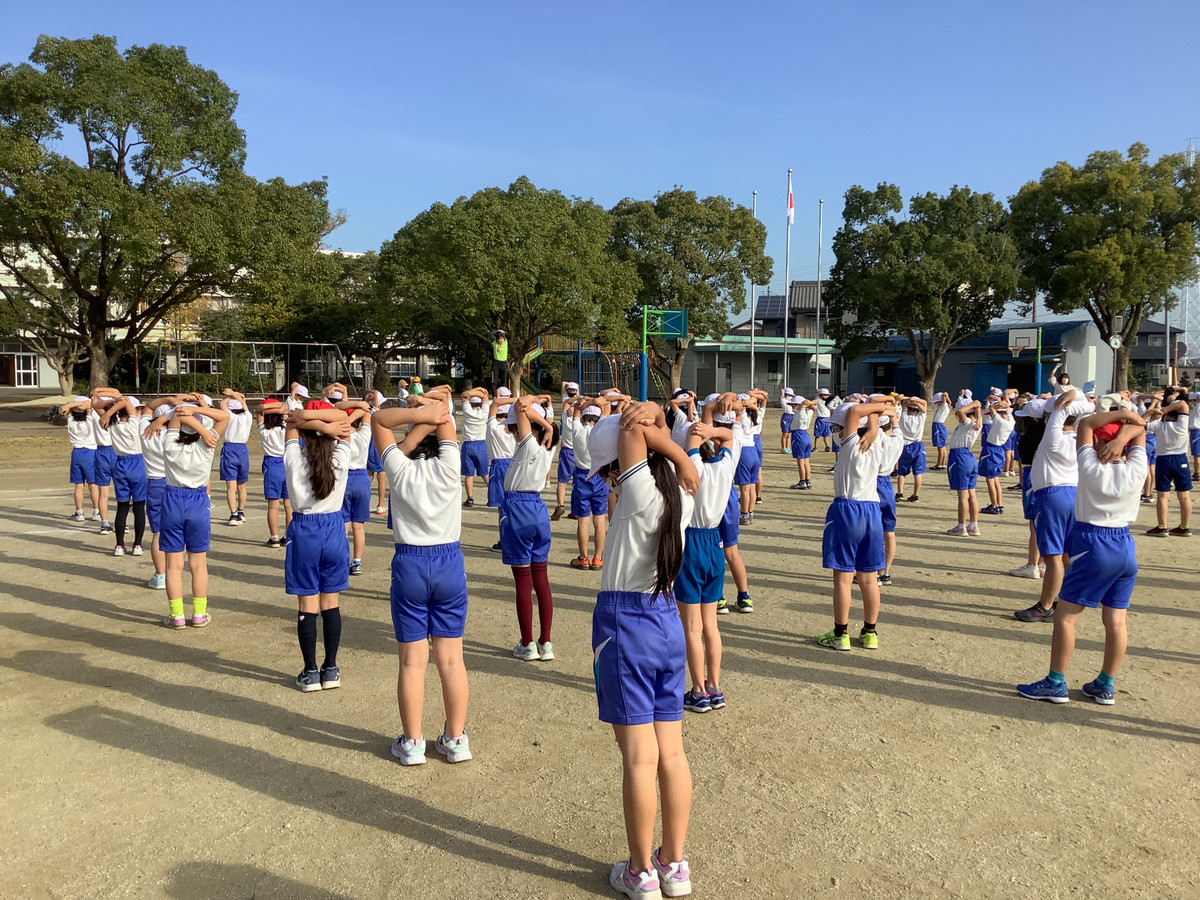 41267eb01f9743bdb7924ba2c1e9085c