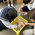 P1758152607734