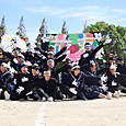 P1760004033256