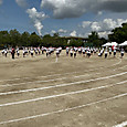 P1778551769820