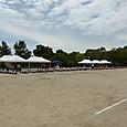 P1778551844012