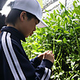 P1779269006206