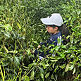 P1779272577903