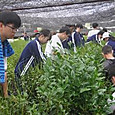 P1779272626849