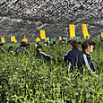 P1779439460021