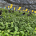 P1779439491755