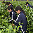 P1779440435113