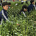 P1779441279214