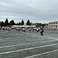 P1779504652416