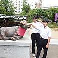 P1780011352733