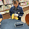 P1780041660070