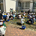 P1780052070250