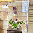 P1780354906958
