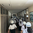 P1781767396461