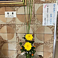 P1781860599227