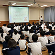 P1782454719790