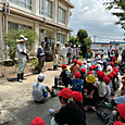 P1782700156853