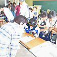 P1782781231646