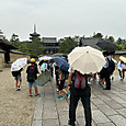 P1782869491349