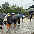 P1782869831411