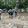 P1782887268439