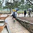 P1782889449782