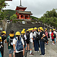 P1782948866416