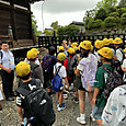 P1782949340215