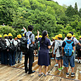 P1782949547282
