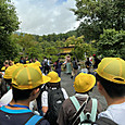 P1782957192314