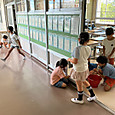 P1785976655947