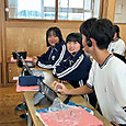P1790679308961