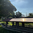 P1790814341127