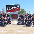 P1791447872014