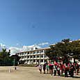 P1791954065236